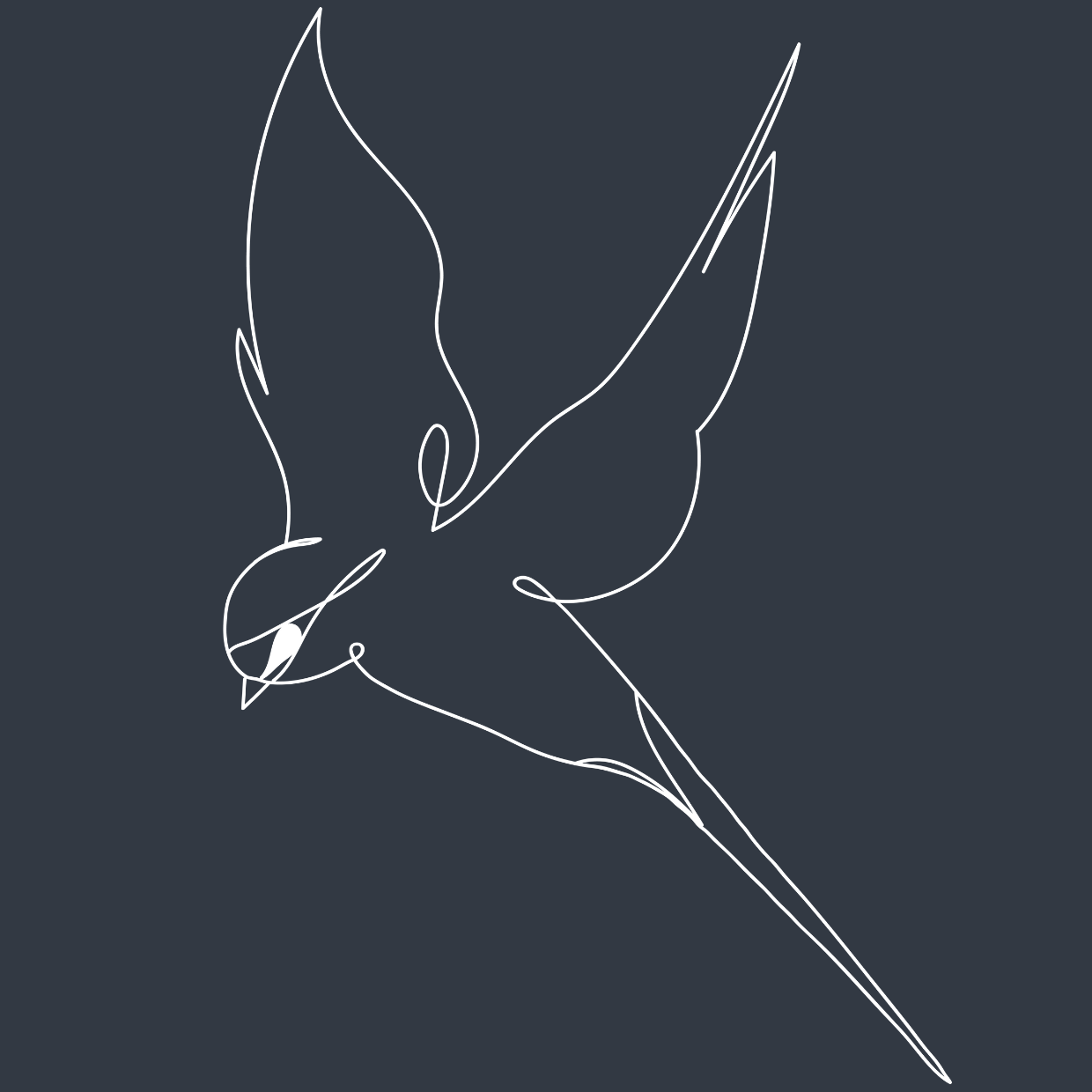 Aega Digital Gift Card